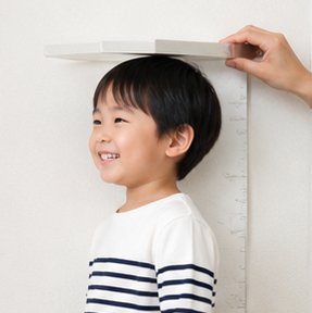 子育ての様子