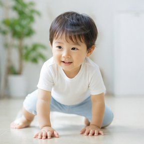 情報を入力