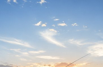 釣果を記録する