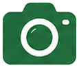 写真ダウンロード